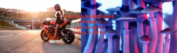 меф Дмитриев