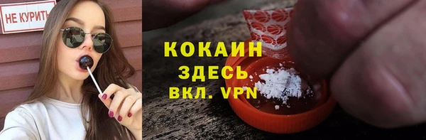а пвп мука Гусев