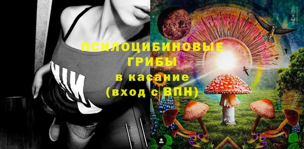 PSILOCYBIN Дмитров