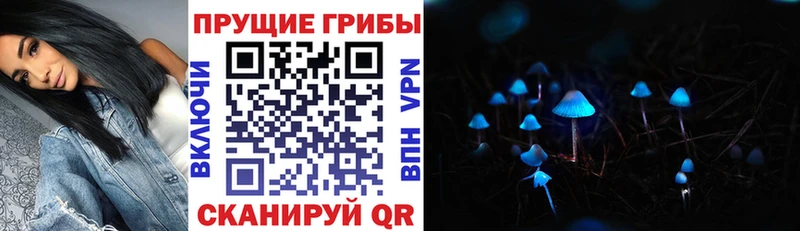 Псилоцибиновые грибы мицелий  ссылка на мегу маркетплейс  Красноярск 